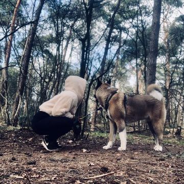 Nike onze favoriete wandelpartner voor elke hondenavontuur