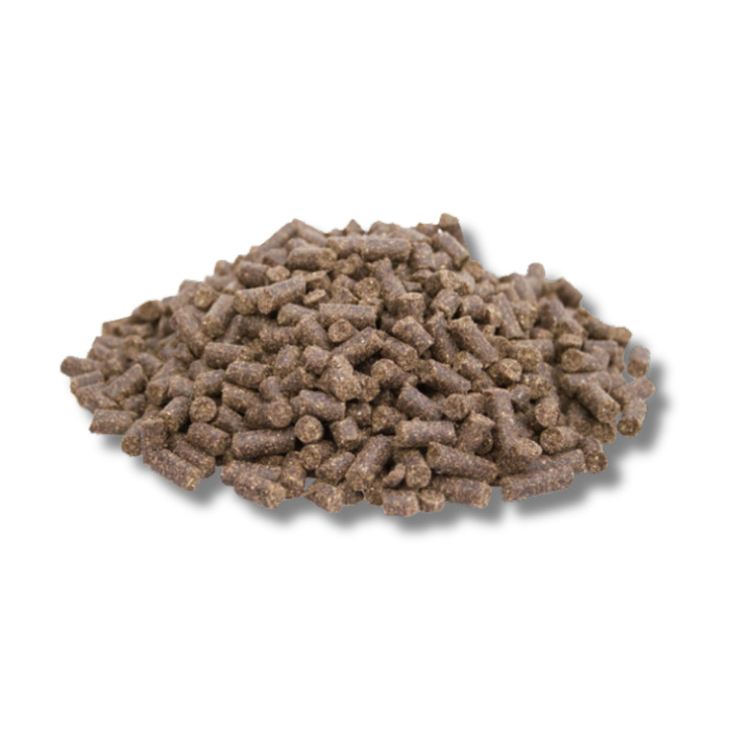 BLESCD Basic - Cold-Pressed