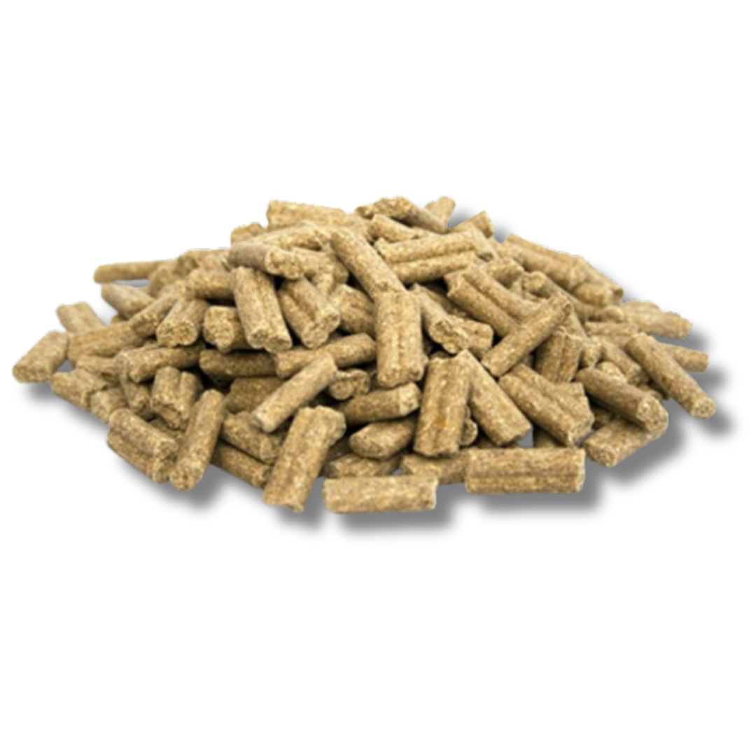BLESCD Salmon – Cold-Pressed Dog Food