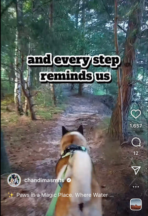 Instagram Post 2