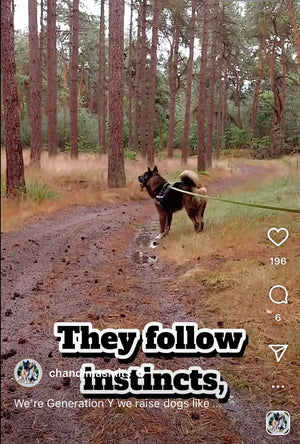Instagram Post 3